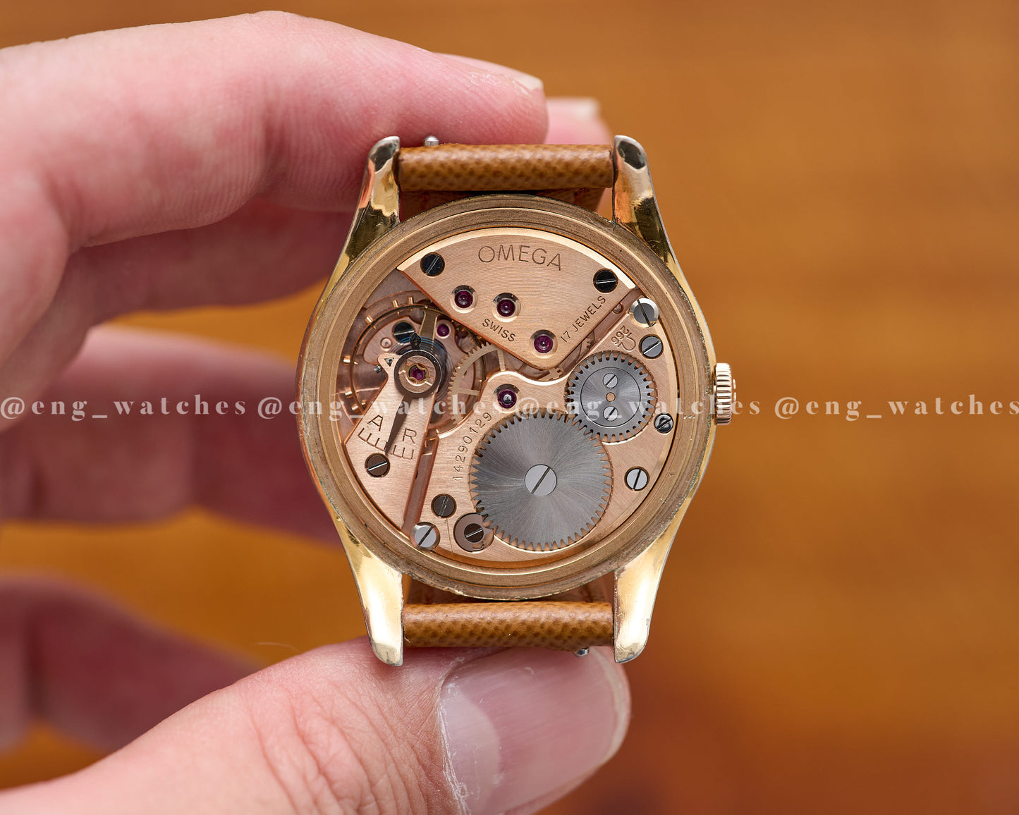Omega "Honeycomb Back Star"