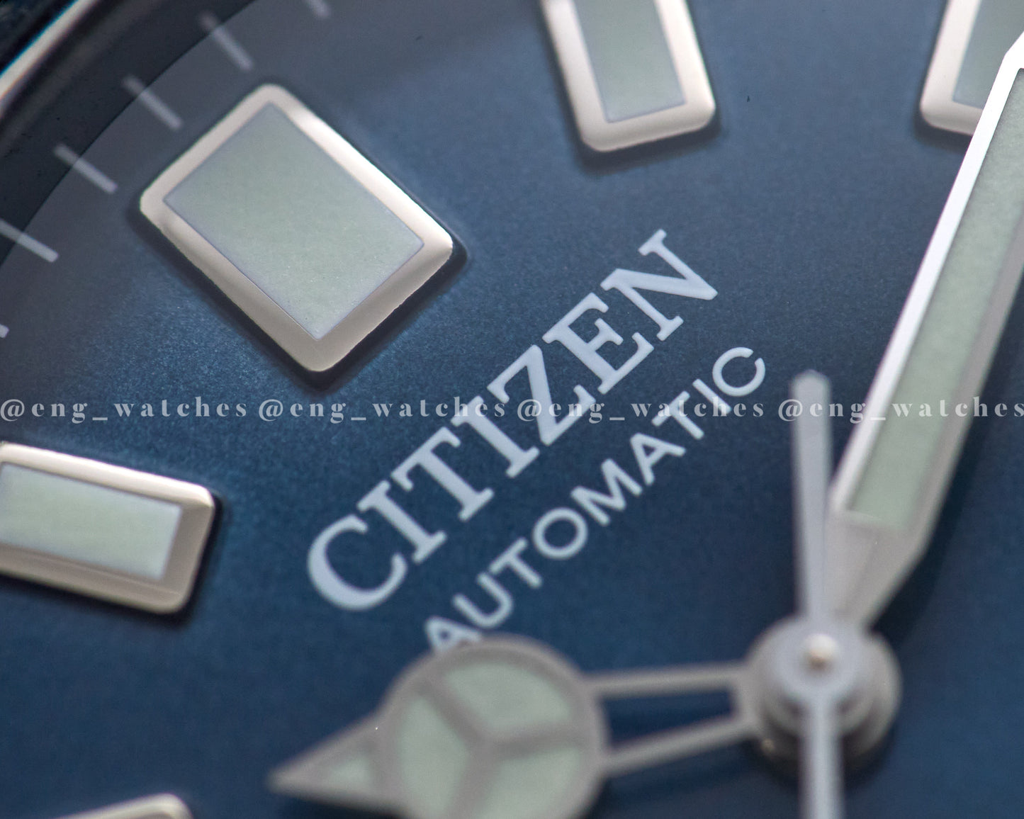 Citizen Promaster "Fujitsubo" Limited Edition