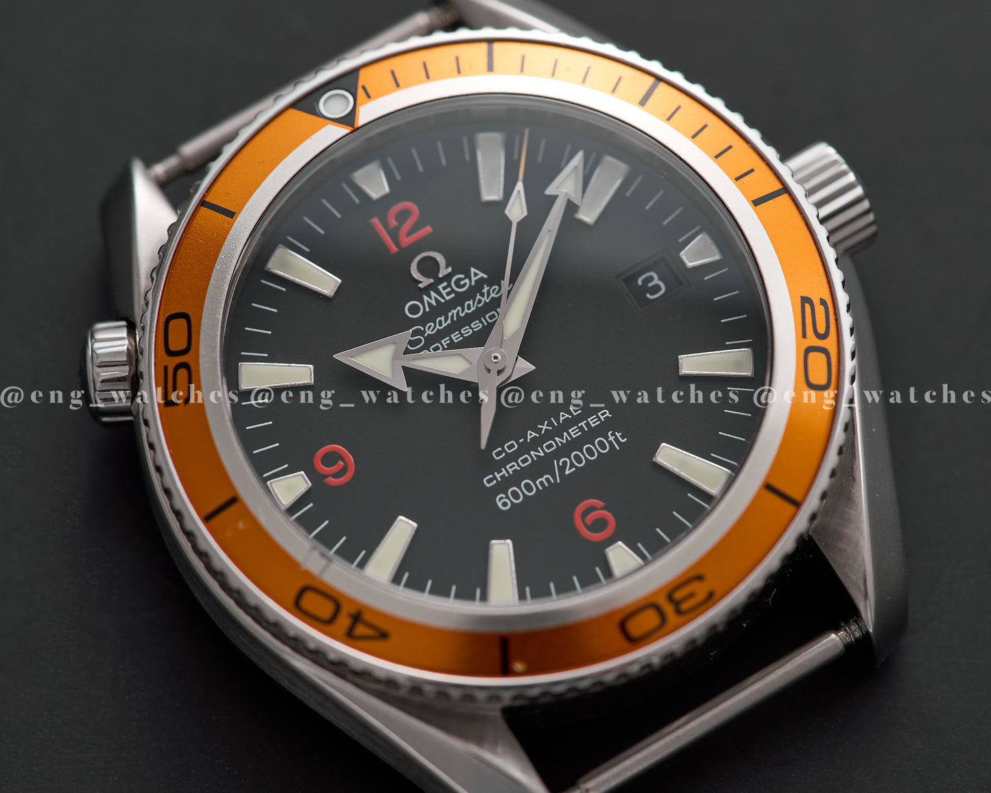 Omega Seamaster Planet Ocean