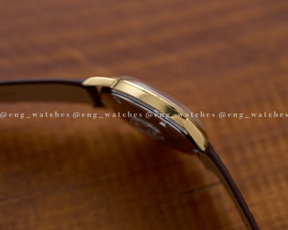 Omega Seamaster