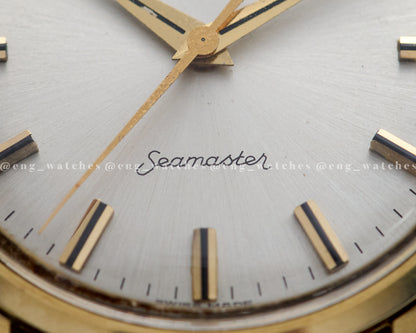 Omega Seamaster "Dauphine hands"