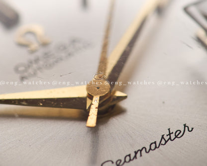 Omega Seamaster Gold Plated