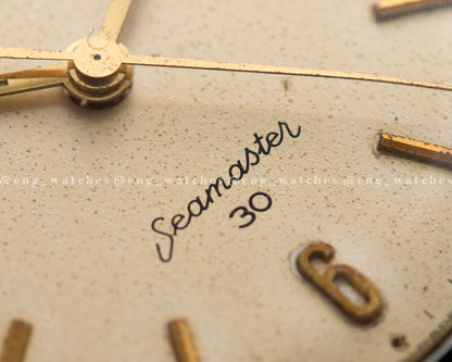 Omega Geneva 166.037