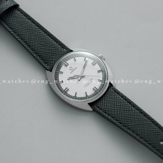 Omega Seamaster Cosmic