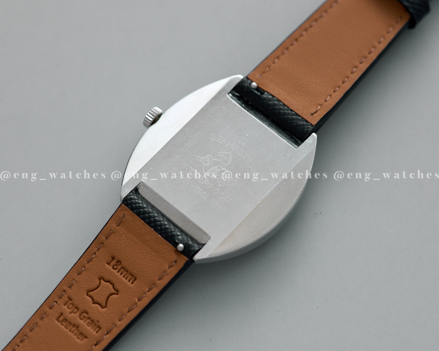 Omega Seamaster Cosmic