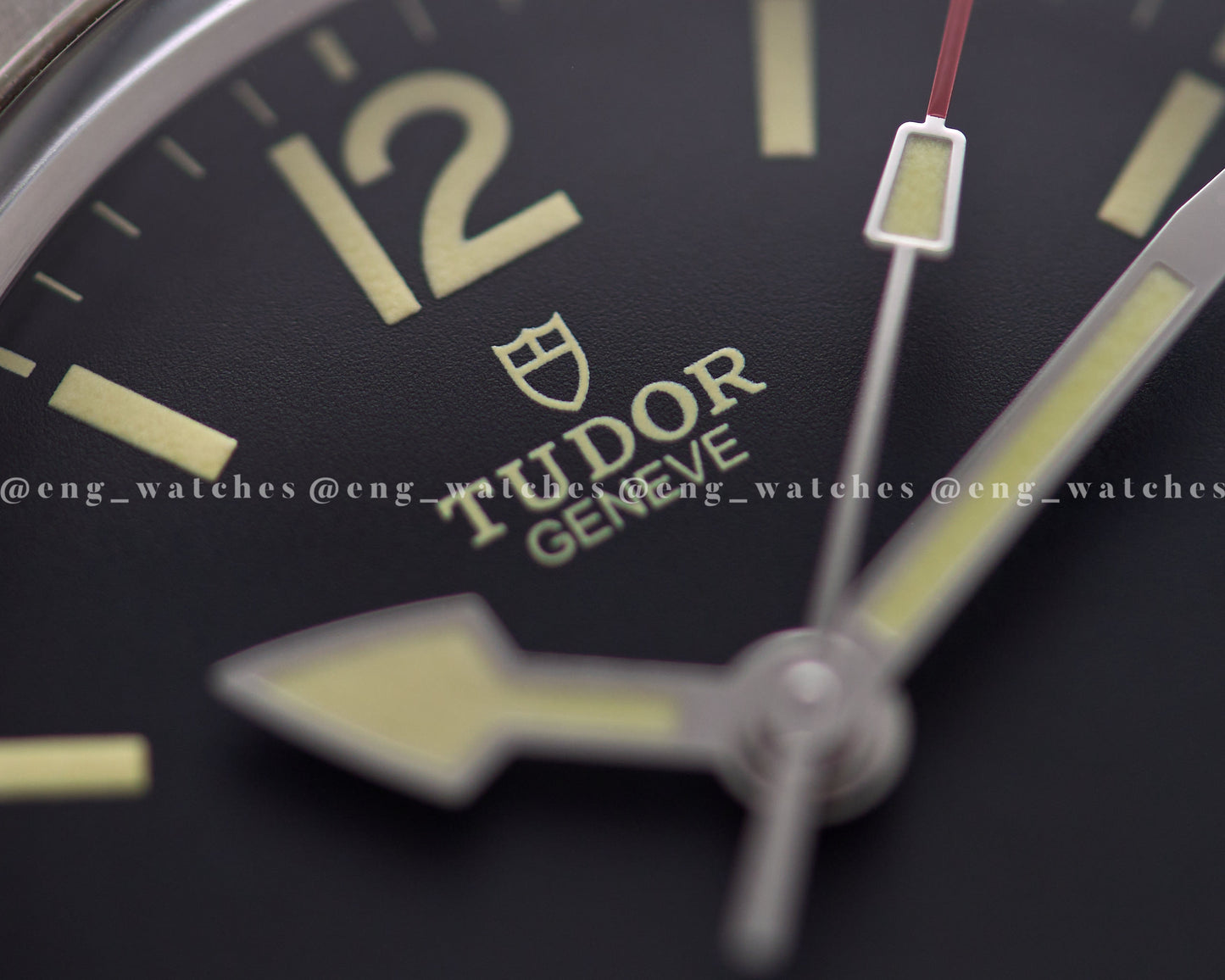 Tudor Ranger 79950